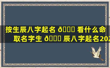按生辰八字起名 🐅 看什么命（取名字生 🕊 辰八字起名2023年）